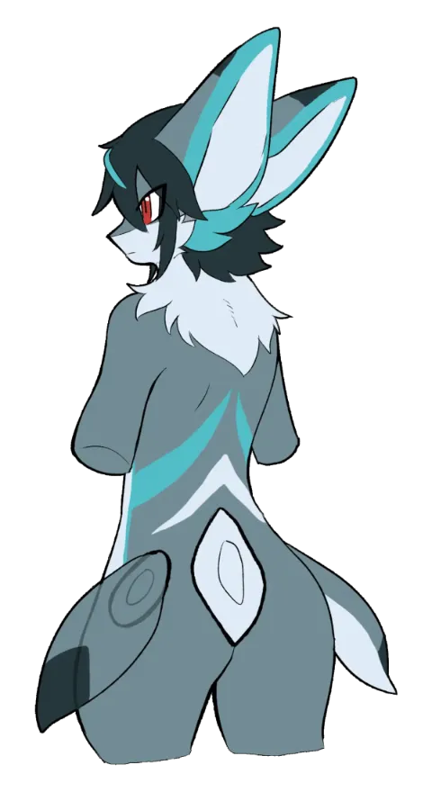 ノクティアの背面画像